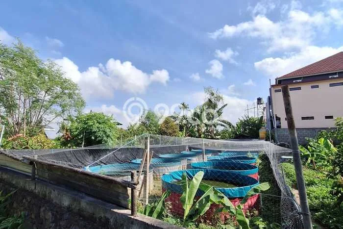 Disewakan Segera Tanah di Denpasar Selatan Luas 800m2 Area Potensial Disewakan Segera Tanah di Denpasar Selatan Luas 800m2 Area Potensial