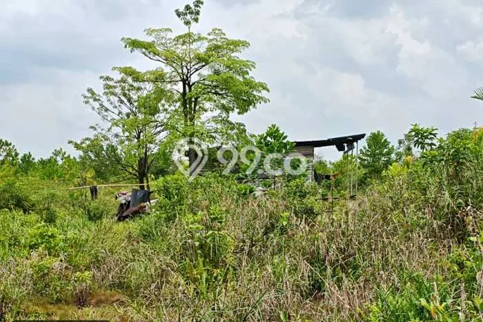 Tanah Kosong Dijual di Pekanbaru dengan Area 175000m2 Tanah Kosong Dijual di Pekanbaru dengan Area 175000m2