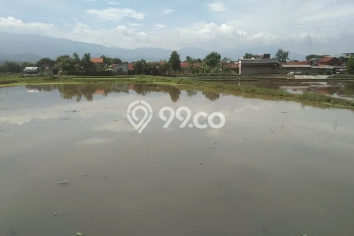 Tanah di Majalaya, Bandung Luas 35000m2 Dijual Segera Tanah di Majalaya, Bandung Luas 35000m2 Dijual Segera
