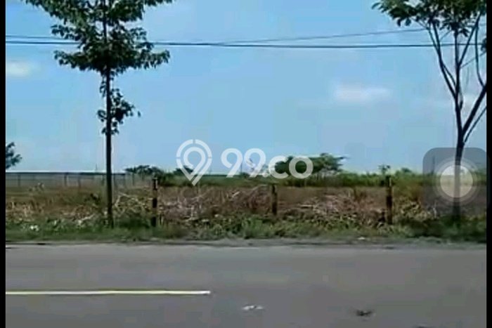 Kavling Tanah di Widang Dijual Luas 40000m2 Legalitas SHM Kavling Tanah di Widang Dijual Luas 40000m2 Legalitas SHM