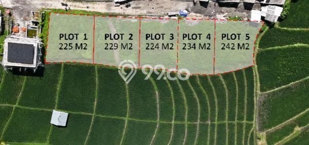 Untuk Disewa Tanah di canggu Badung Seluas 1200m2 Untuk Disewa Tanah di canggu Badung Seluas 1200m2