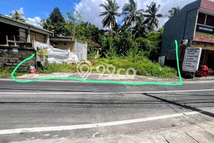 Kavling Tanah Lokasi Strategis di Ubud, Gianyar Disewakan 200m2 Kavling Tanah Lokasi Strategis di Ubud, Gianyar Disewakan 200m2