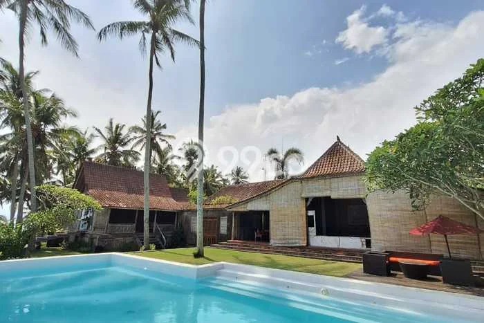 FOR SALE! Vila di Selemadeg, Area 3000m2m², Lokasi Strategis FOR SALE! Vila di Selemadeg, Area 3000m2m², Lokasi Strategis