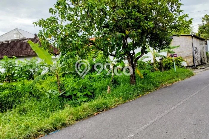 Lahan Disewakan Lokasi Umalas Badung Luas 1400m2 Lahan Disewakan Lokasi Umalas Badung Luas 1400m2