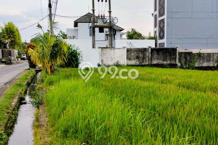 Jarang Ada! Tanah Kavling Disewakan di Badung 1000m2 Jarang Ada! Tanah Kavling Disewakan di Badung 1000m2