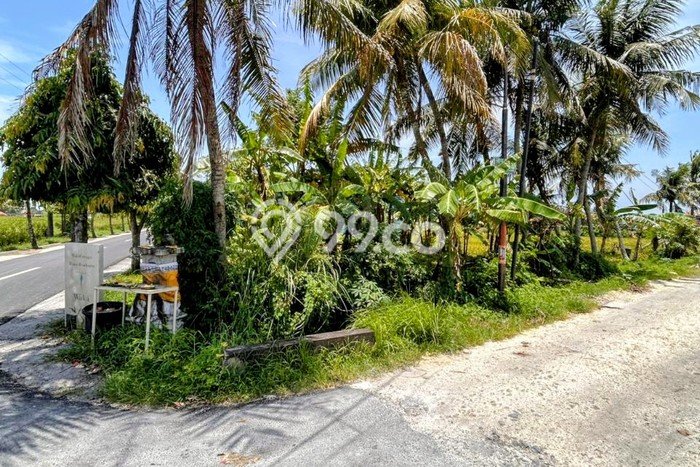 Tanah di Tabanan, Tabanan Luas 200m2 Dijual Segera Tanah di Tabanan, Tabanan Luas 200m2 Dijual Segera