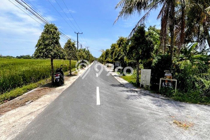 Tanah di Tabanan, Tabanan Luas 200m2 Dijual Segera Tanah di Tabanan, Tabanan Luas 200m2 Dijual Segera