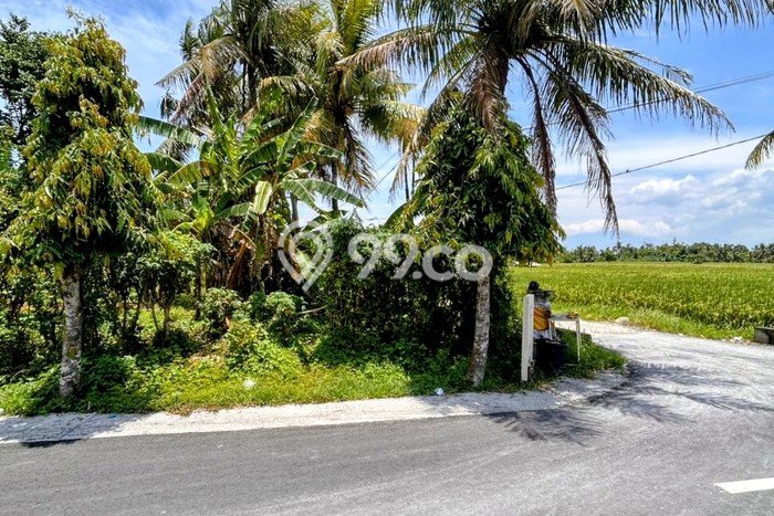 Tanah di Tabanan, Tabanan Luas 200m2 Dijual Segera Tanah di Tabanan, Tabanan Luas 200m2 Dijual Segera