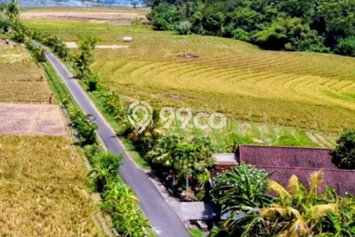 Tanah Kavling untuk Dijual di Kerambitan Tabanan 800m2 Tanah Kavling untuk Dijual di Kerambitan Tabanan 800m2
