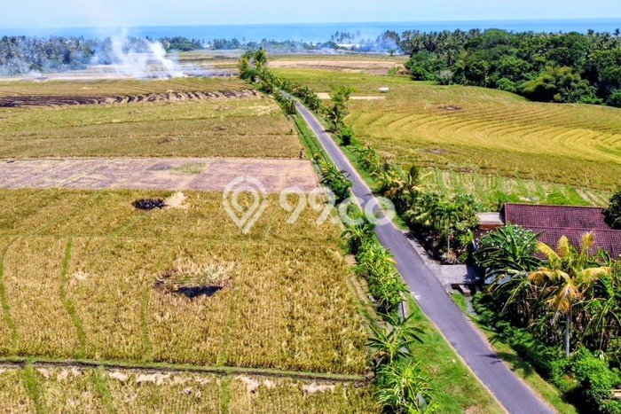 Tanah Kavling untuk Dijual di Kerambitan Tabanan 800m2 Tanah Kavling untuk Dijual di Kerambitan Tabanan 800m2