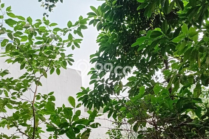 Kavling Tanah Dijual di Cinere Depok Spesifikasi 635m2 Kavling Tanah Dijual di Cinere Depok Spesifikasi 635m2