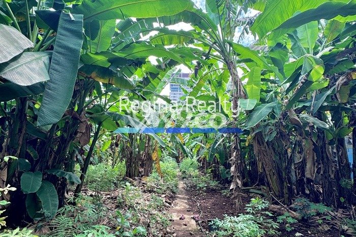 Lahan Investasi Lokasi Kebayoran Lama Jakarta Selatan SHM Lahan Investasi Lokasi Kebayoran Lama Jakarta Selatan SHM