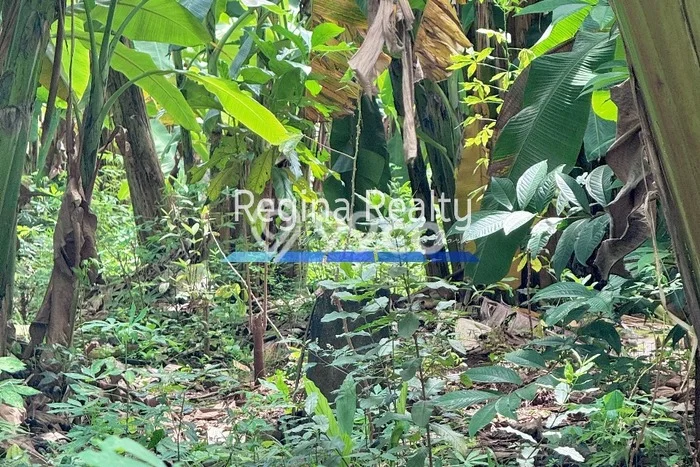Lahan Investasi Lokasi Kebayoran Lama Jakarta Selatan SHM Lahan Investasi Lokasi Kebayoran Lama Jakarta Selatan SHM