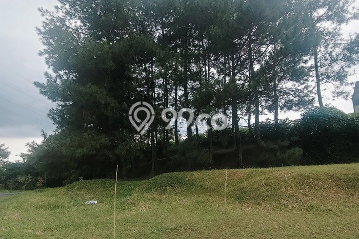 Tanah Investasi Dijual di Bandung Punya Luas 807m2 Tanah Investasi Dijual di Bandung Punya Luas 807m2