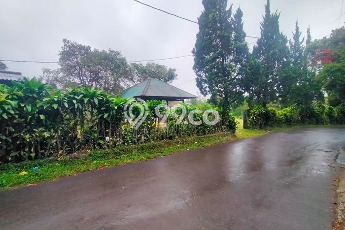 Dijual Tanah di Lembang Bandung Barat Luas 2600m2 SHM Dijual Tanah di Lembang Bandung Barat Luas 2600m2 SHM
