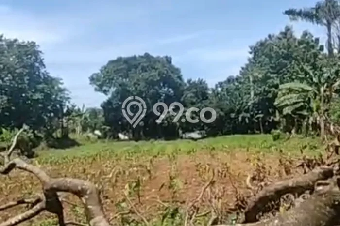 Tanah Kavling untuk Dijual di Tajur Halang Bogor 2911m2 Tanah Kavling untuk Dijual di Tajur Halang Bogor 2911m2