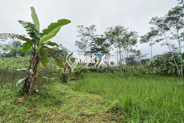 Tanah Dijual di Malang Seluas 139m2 Strategis Tanah Dijual di Malang Seluas 139m2 Strategis