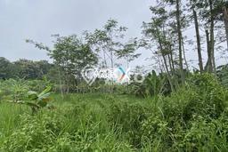 Tanah Dijual di Malang Seluas 139m2 Strategis Tanah Dijual di Malang Seluas 139m2 Strategis