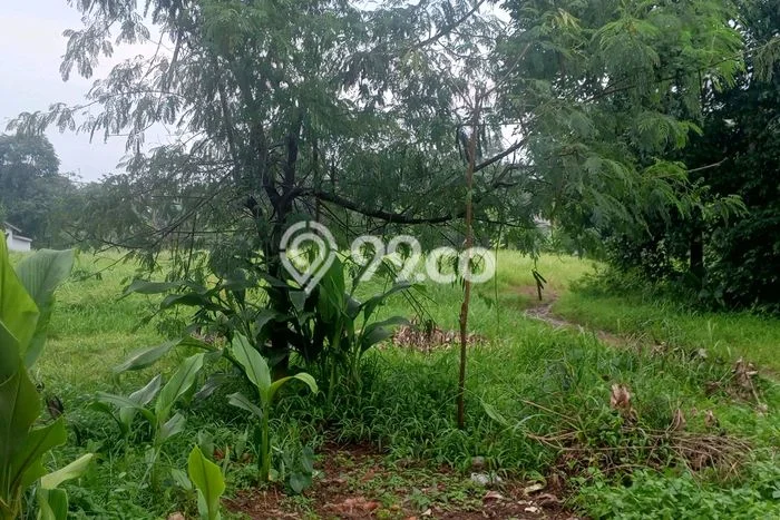 Tanah Kavling untuk Dijual di Tambun Selatan Bekasi 2546m2 Tanah Kavling untuk Dijual di Tambun Selatan Bekasi 2546m2