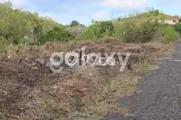 Tanah untuk Dijual Lokasi Kuta Utara, Badung Luas 10000m2 SHM Tanah untuk Dijual Lokasi Kuta Utara, Badung Luas 10000m2 SHM