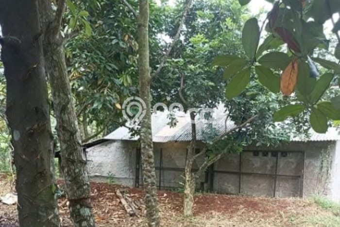 Kavling Tanah Dijual di Tajur Halang, Bogor, Luas 605m2 Area Strategis Kavling Tanah Dijual di Tajur Halang, Bogor, Luas 605m2 Area Strategis