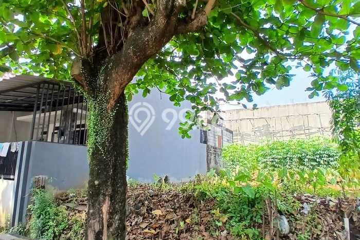 Dijual Tanah di Beji Depok Luas 102m2 SHM Dijual Tanah di Beji Depok Luas 102m2 SHM