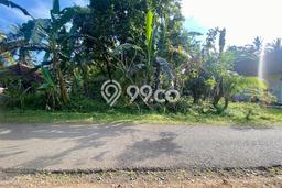 Tanah Kavling Dijual di Medewi, Jembrana dengan Luas Tanah 3000m2 Tanah Kavling Dijual di Medewi, Jembrana dengan Luas Tanah 3000m2