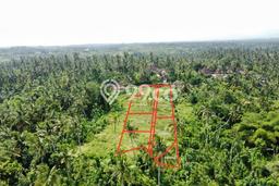 Dijual Tanah Lokasi Medewi, Jembrana Seluas 8730m2 Dijual Tanah Lokasi Medewi, Jembrana Seluas 8730m2