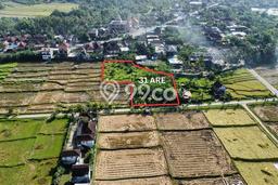 Dijual Tanah Lokasi Medewi, Jembrana Seluas 3100m2 Dijual Tanah Lokasi Medewi, Jembrana Seluas 3100m2