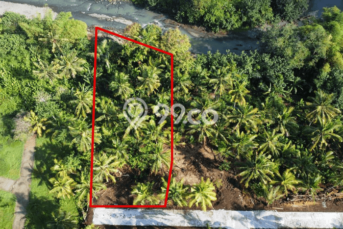 Tanah Disewakan Lokasi Jembrana Seluas 350m2 Strategis dan Aman Tanah Disewakan Lokasi Jembrana Seluas 350m2 Strategis dan Aman