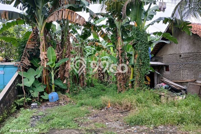 Kavling Tanah Dijual di Cibinong Bogor Spesifikasi 872m2 Kavling Tanah Dijual di Cibinong Bogor Spesifikasi 872m2