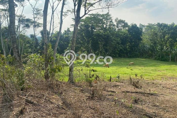Tanah Dijual Lokasi Strategis di Bogor dengan Luas 5500m2 Tanah Dijual Lokasi Strategis di Bogor dengan Luas 5500m2