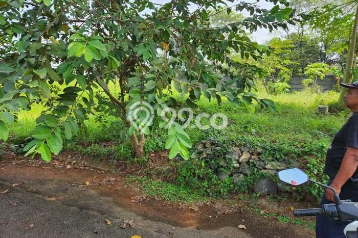 Tanah Dijual Lokasi Strategis di Jakarta Timur dengan Luas 448m2 Tanah Dijual Lokasi Strategis di Jakarta Timur dengan Luas 448m2