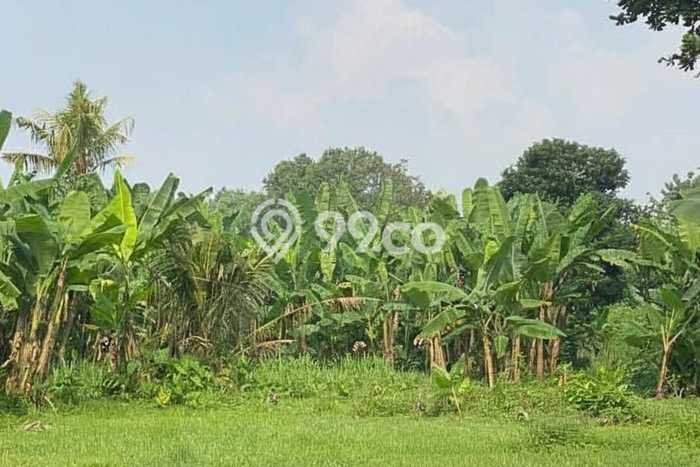Lahan Investasi Lokasi Limo Depok - Lahan Investasi Lokasi Limo Depok -
