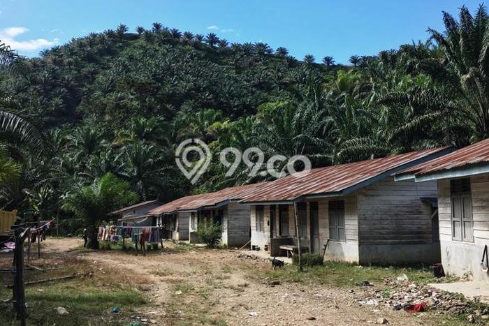 Tanah di Medan Labuhan, Medan Luas 5e+06m2 Dijual Segera Tanah di Medan Labuhan, Medan Luas 5e+06m2 Dijual Segera