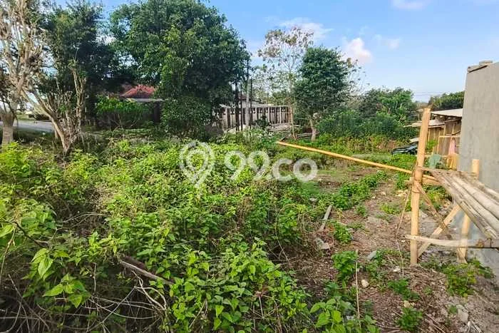 Tanah Kavling Dijual di Badung dengan Spesifikasi 200m2 Tanah Kavling Dijual di Badung dengan Spesifikasi 200m2