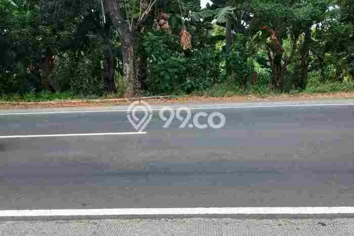Tanah Strategis di Wonorejo, Luas 500000m2m², Cocok untuk Perumahan Tanah Strategis di Wonorejo, Luas 500000m2m², Cocok untuk Perumahan