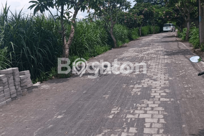 Tanah Siap Pakai Disewakan di Sanur, Denpasar, Luas 1100m2 Tanah Siap Pakai Disewakan di Sanur, Denpasar, Luas 1100m2
