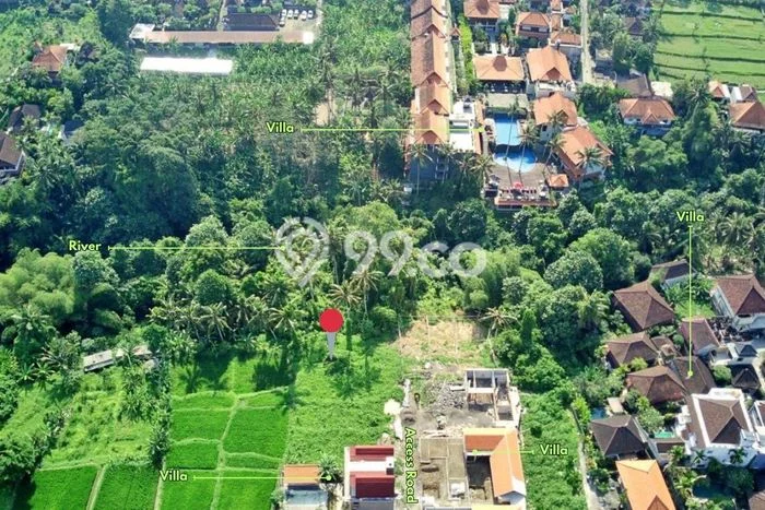 Dijual Tanah Lokasi Petulu, Gianyar Seluas 2163m2 Dijual Tanah Lokasi Petulu, Gianyar Seluas 2163m2