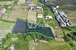 Lahan Dijual Lokasi Strategis di Tabanan dengan Luas 1660m2 Lahan Dijual Lokasi Strategis di Tabanan dengan Luas 1660m2