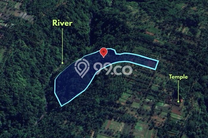 Tanah untuk Dijual di Payangan Gianyar Luas 31140m2 Tanah untuk Dijual di Payangan Gianyar Luas 31140m2