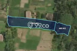 Tanah Disewakan di Ubud, Luas 1930m2m², Ideal untuk Bisnis Tanah Disewakan di Ubud, Luas 1930m2m², Ideal untuk Bisnis