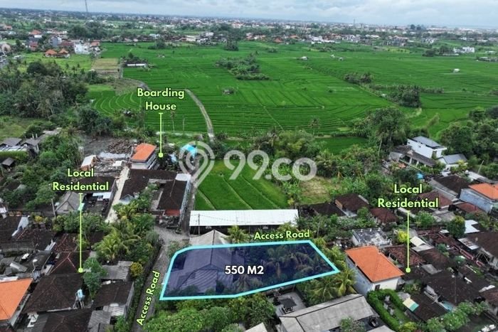 Kavling Tanah untuk Disewa di Beraban Lahan Luas 550m2 Kavling Tanah untuk Disewa di Beraban Lahan Luas 550m2