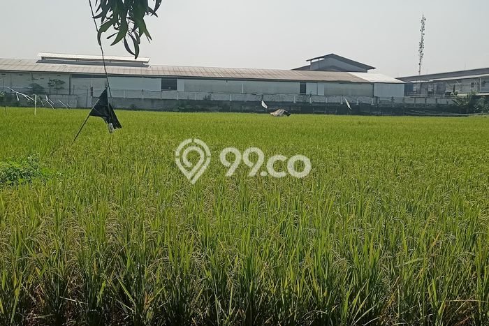 Tanah untuk Dijual di Cikande Serang Luas 14540m2 Tanah untuk Dijual di Cikande Serang Luas 14540m2