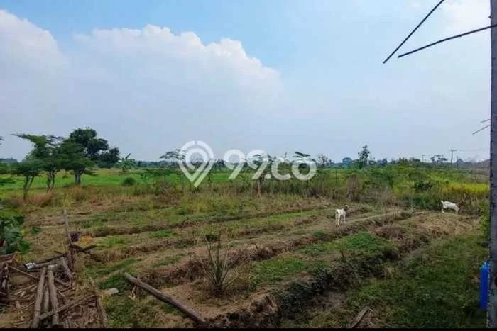 Lahan Dijual Lokasi Balongpanggang, Gresik dengan Luas Tanah 7444m2 dan Status SHM Lahan Dijual Lokasi Balongpanggang, Gresik dengan Luas Tanah 7444m2 dan Status SHM