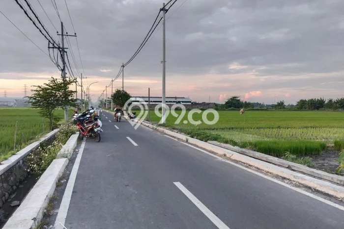 Lahan Dijual Lokasi Magersari, Mojokerto dengan Luas Tanah 2430m2 dan Status SHM Lahan Dijual Lokasi Magersari, Mojokerto dengan Luas Tanah 2430m2 dan Status SHM