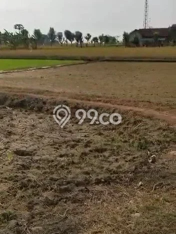 LOKASI STRATEGIS! Tanah di Jenu, Luas 10476m2m², Kawasan Potensial, Cocok untuk Hunian LOKASI STRATEGIS! Tanah di Jenu, Luas 10476m2m², Kawasan Potensial, Cocok untuk Hunian