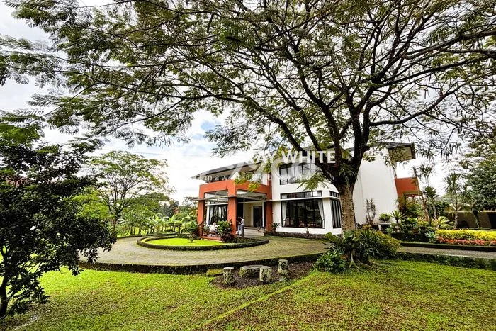 Aset Strategis! Vila Kawasan , Luas 2950m2m², ROI Menjanjikan untuk bisnis Aset Strategis! Vila Kawasan , Luas 2950m2m², ROI Menjanjikan untuk bisnis