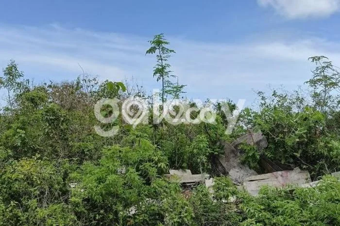 Tanah Kavling untuk Disewa di Kuta Selatan Badung 360m2 Tanah Kavling untuk Disewa di Kuta Selatan Badung 360m2