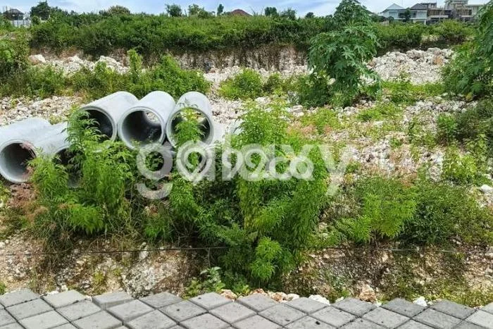Tanah Kavling untuk Disewa di Kuta Selatan Badung 360m2 Tanah Kavling untuk Disewa di Kuta Selatan Badung 360m2